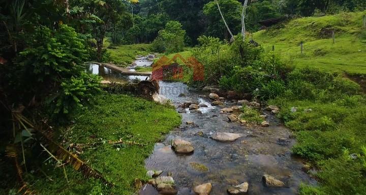 Rural à venda com 100000000m² de terreno no Alambari, Resende (RJ) — foto 7 de 10