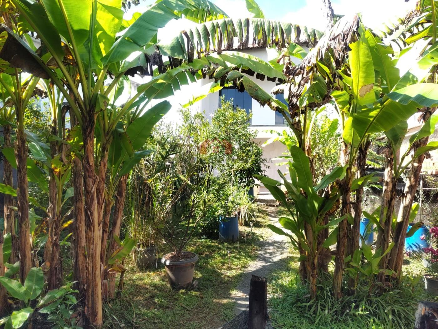 Casa à venda com 3 quartos, 1 suíte, 1 vaga e 426m² no São Caetano, Resende (RJ) — foto 30 de 30